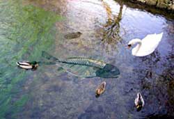 Verfehltes Lebensziel